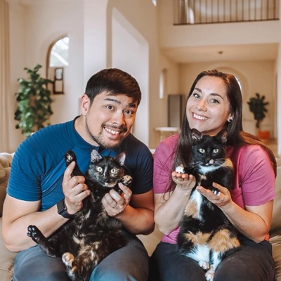 The Cat Family